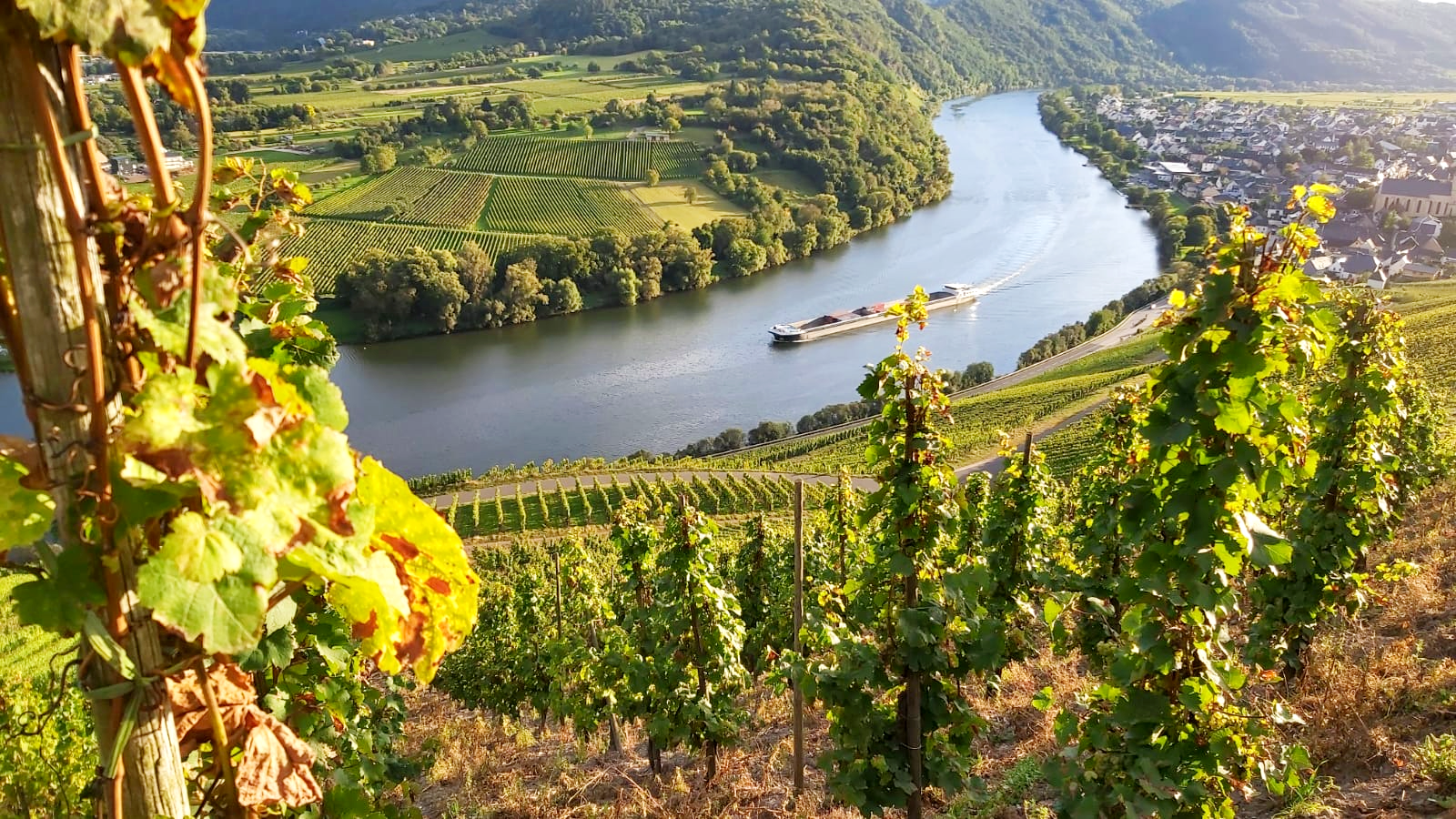 Working a Joyful Life